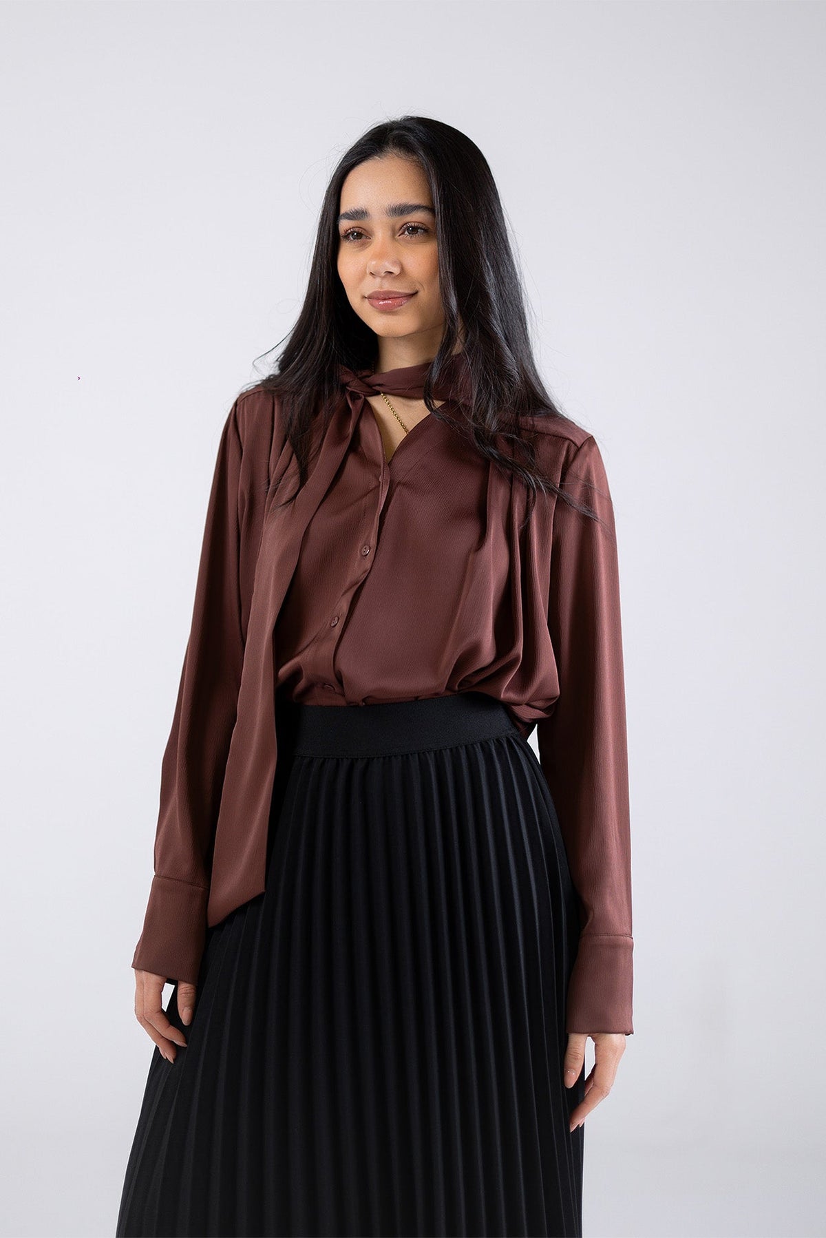 Draped Tie-Neck Blouse