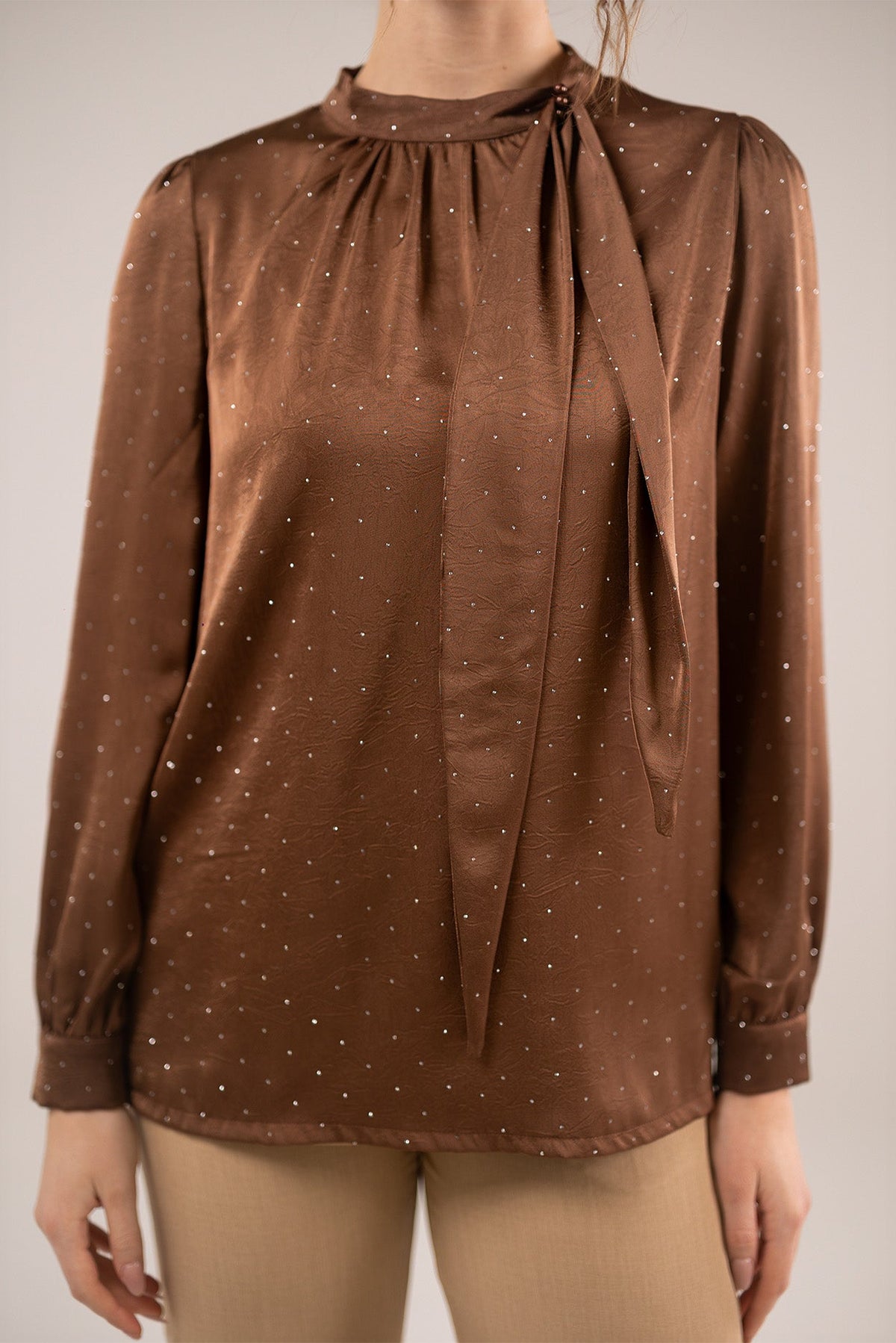 Tie-Neck Blouse