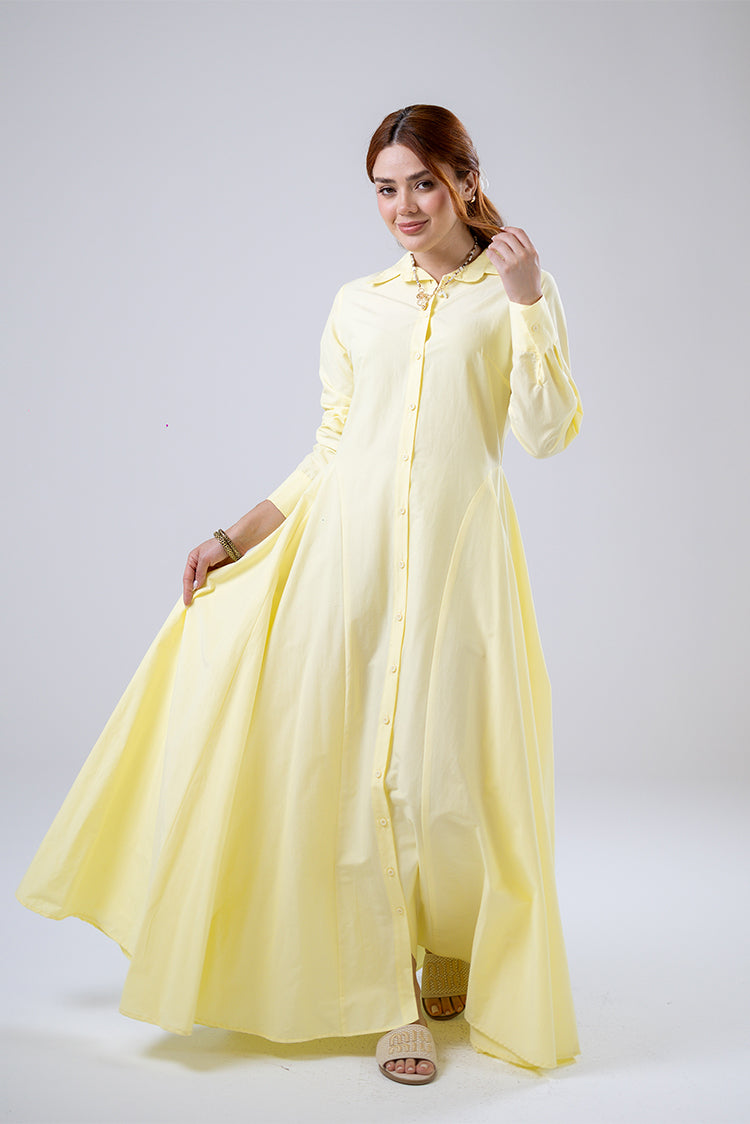 Classic Flared Shirt Dress